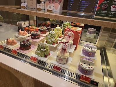 노티드 스튜디오 청담